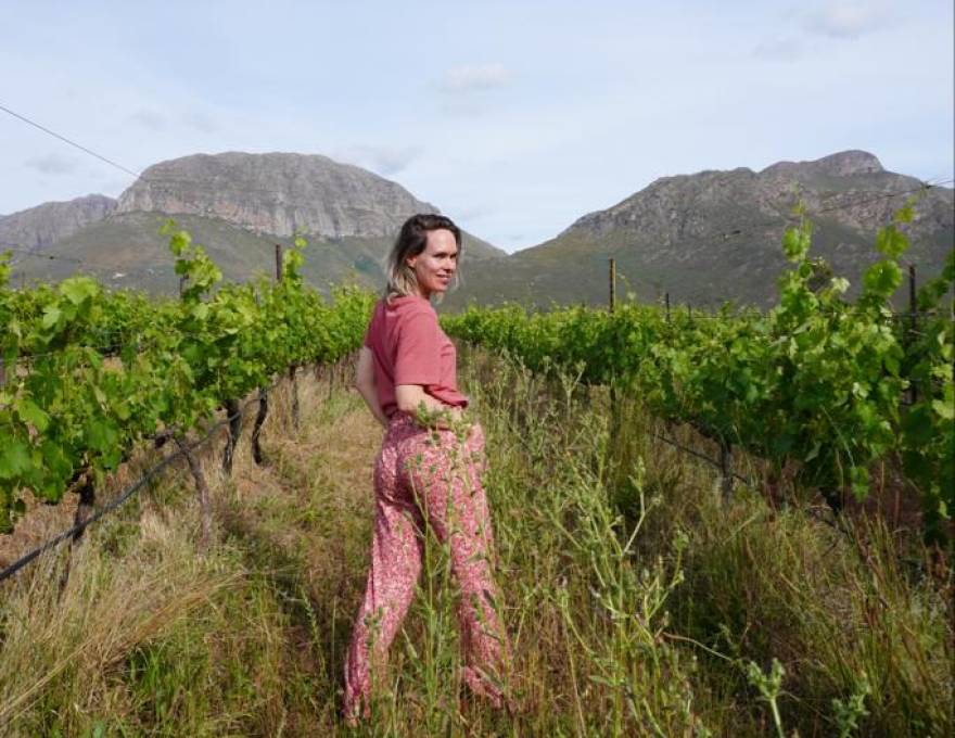 3 x wijnhuizen in de Kaap waar(van) je wijn wilt proeven!