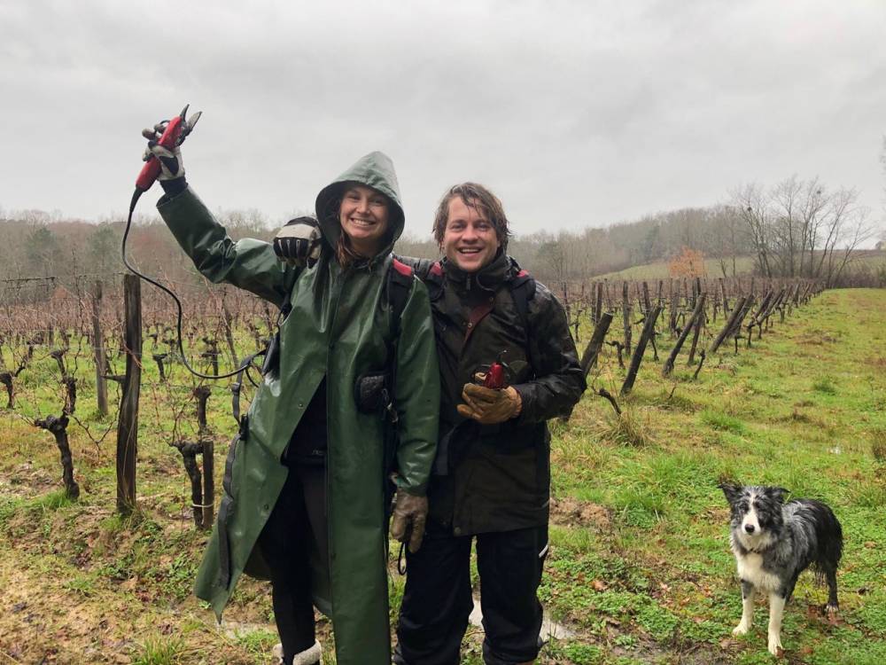 Het is hard werken in de wijngaard | Bordeaux