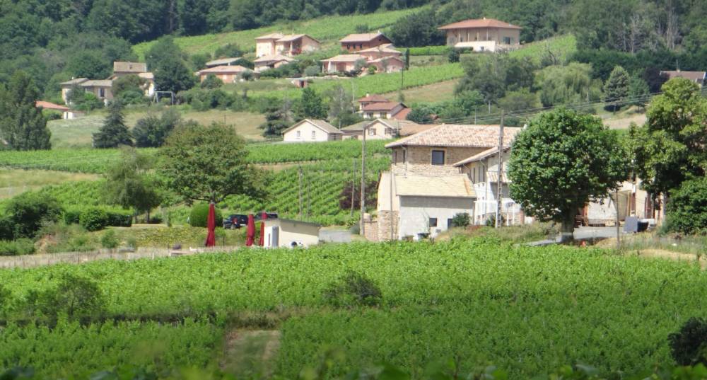 Wijnboerderij Domaine Lachat in Régnié